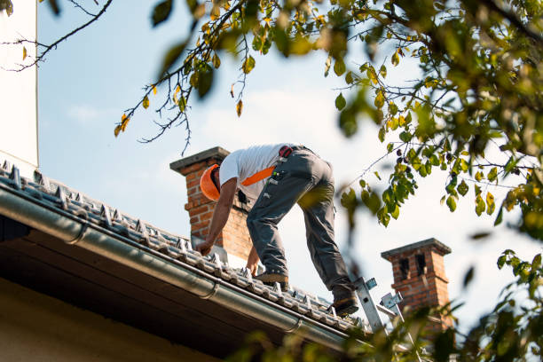 Best Flat Roof Repair Services  in Audubon Park, NJ
